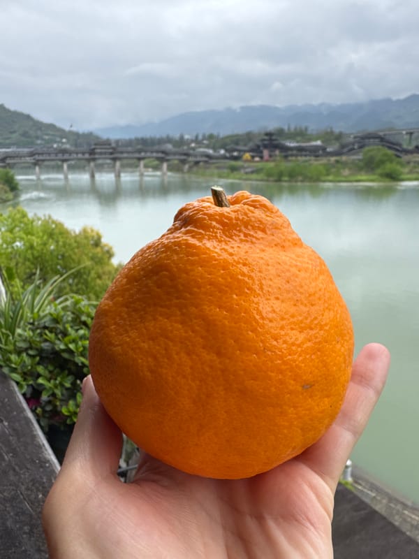 Morning sightseeing and tea preparation in Chongqing region