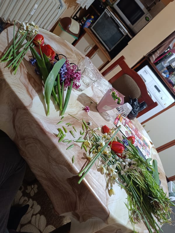 Spring flowers arranged on table in Pleven, Bulgaria