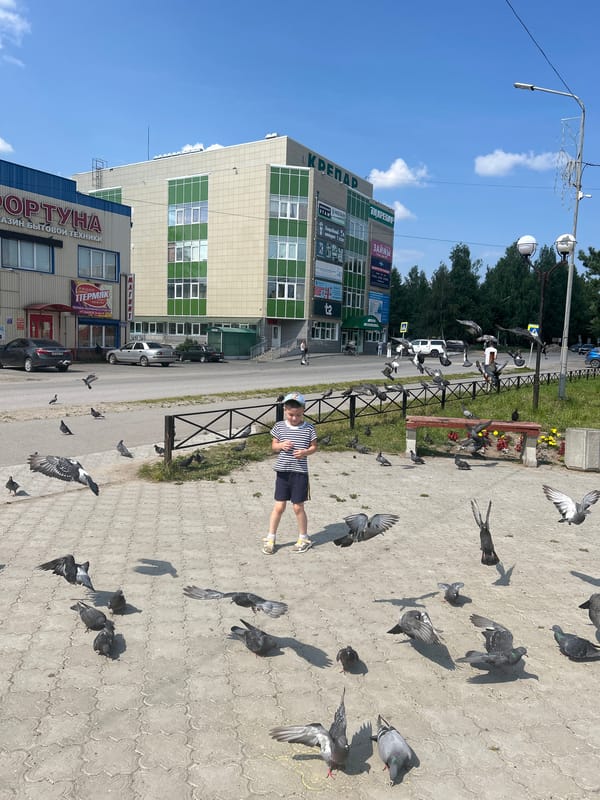 Pigeons and pride: a summer morning in Krasnovishersk