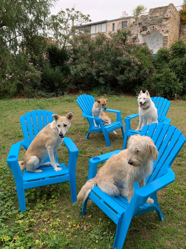 Morning slice-of-life moments captured across Tel Aviv