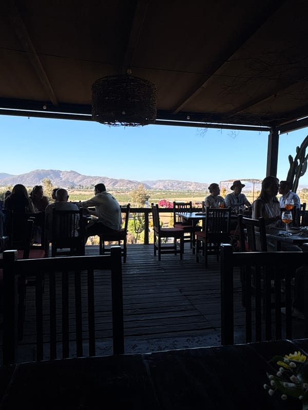 Outdoor dining with mountain views at Artículo Ciento Quince