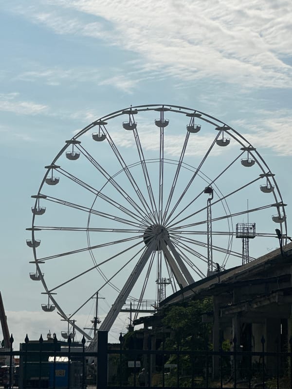 Port cranes, a Ferris wheel, and roadside flowers in one spot
