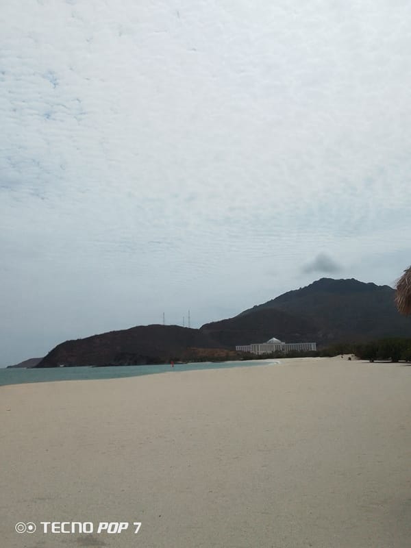 Overcast afternoon at Pedro González beach, palm trees sway