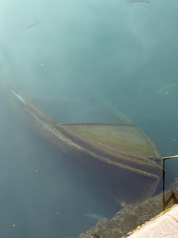 Morning scenes captured across Rijeka harbor and streets