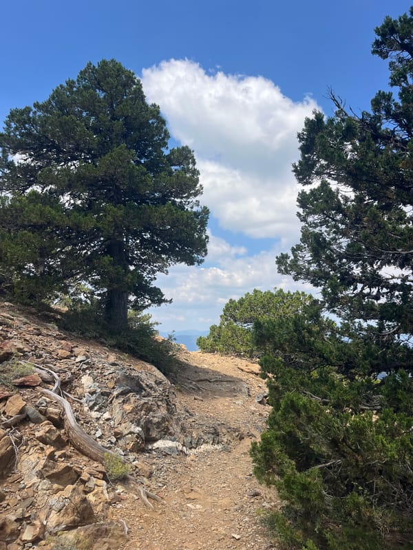 Morning hike through Prodromos mountain trails, Troodos Cyprus