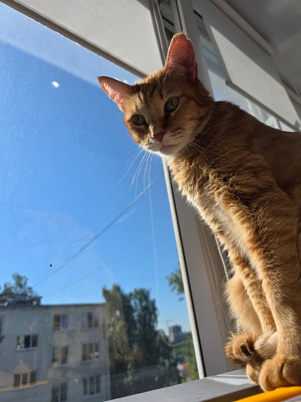 Morning life documented across Chaikovsky, Russia in 22 minutes