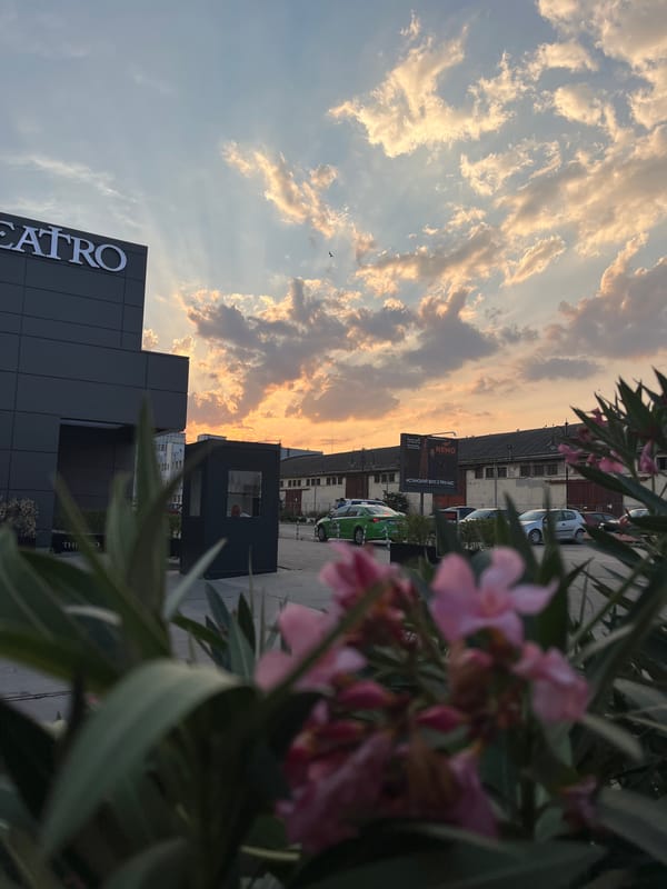 Pink oleander and golden hour at Varna's Teatro building