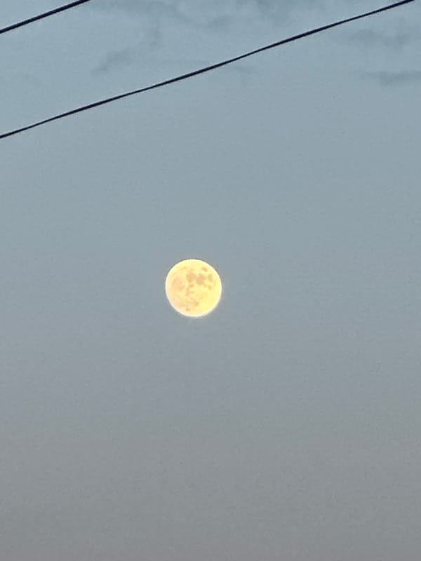 Observer Documents Moon Phases and Urban Twilight Over Six Minutes