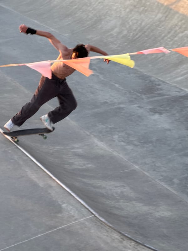 Sochi skatepark session with skating, filming, and a Borzoi
