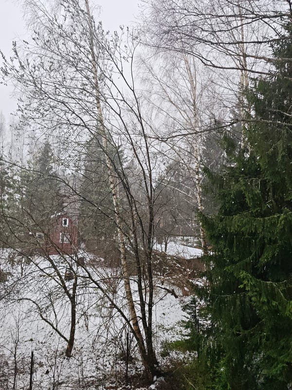 Late spring snowfall documented in rural Russia village