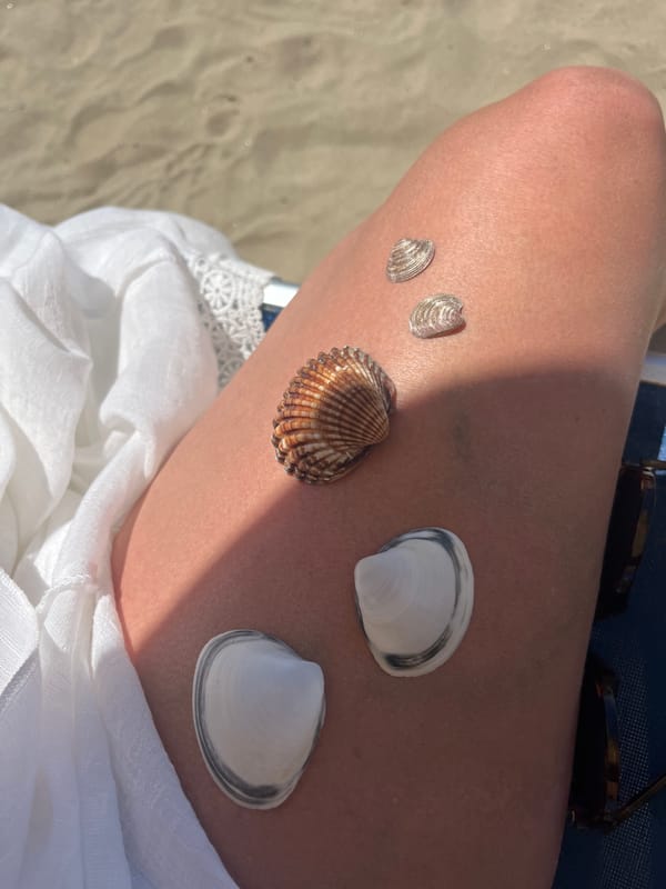 Beach day documented through personal items and coastal scenes