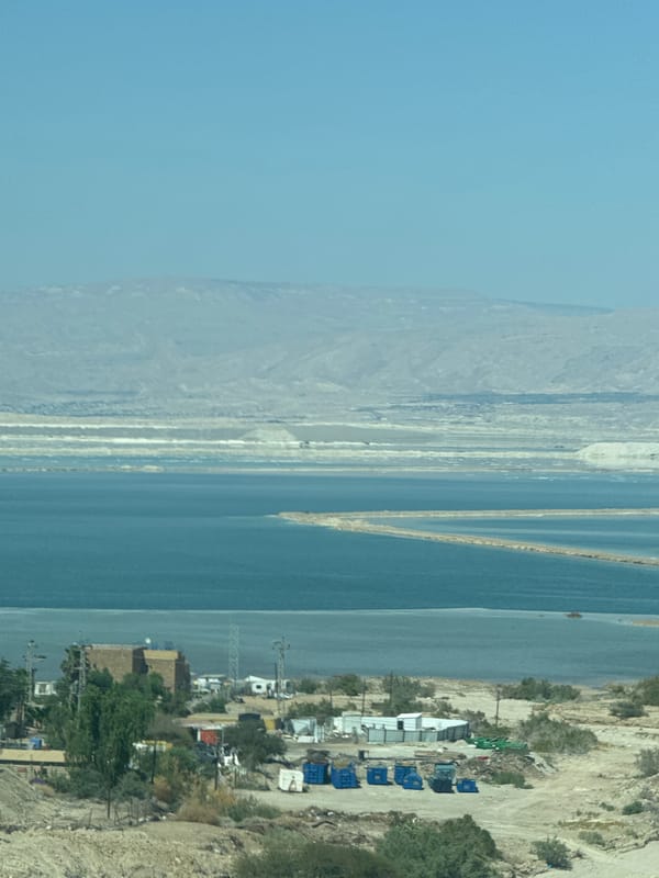 Dead Sea landscape documented in Tamar Regional Council
