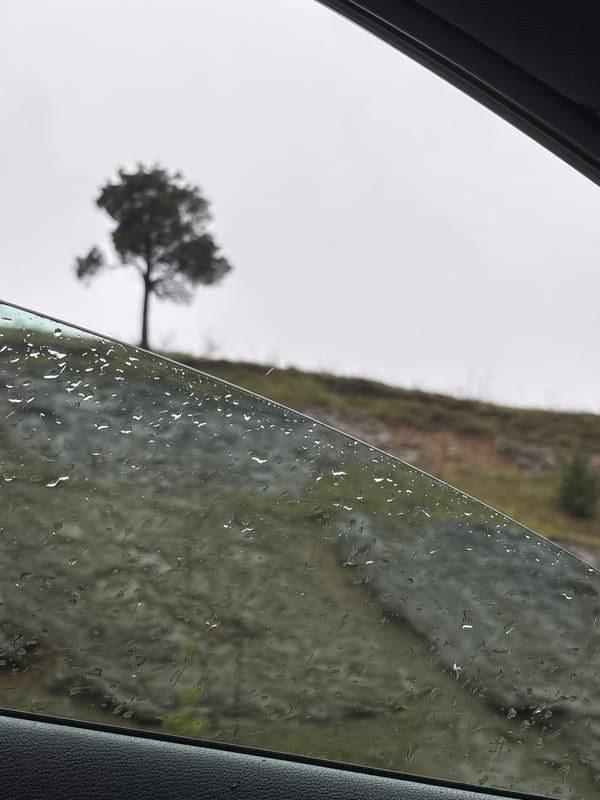 Early morning rain observed from vehicle in Tbilisi