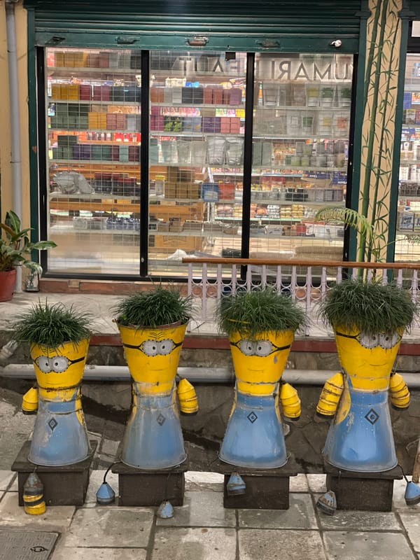 Decorated storefront with Minion planters observed in Pokhara
