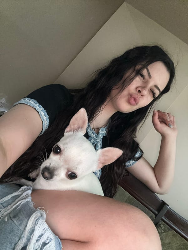 Woman takes selfies with white Chihuahua in Sliven