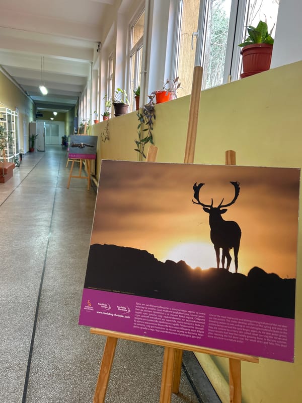 Museum visitors document natural history exhibits in Plovdiv, Bulgaria