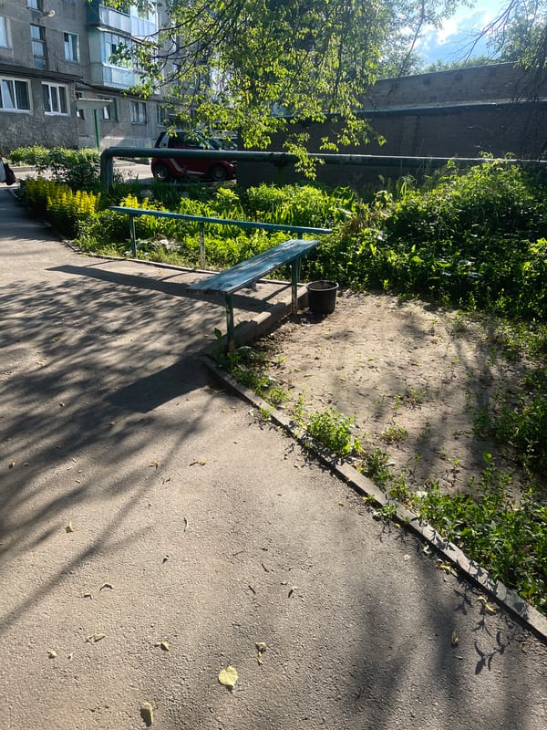 Ten-minute urban walk captures blooming flowers and sunny neighborhood