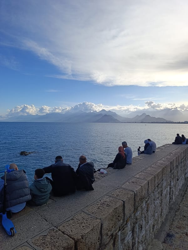 Person and calico cat share moment on pavement in Antalya