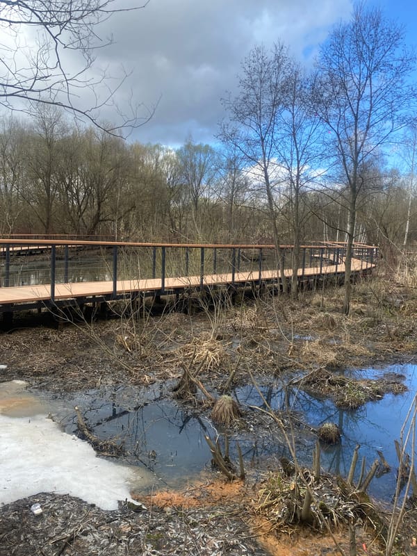 Moscow park boardwalk shows winter conditions with ice patches