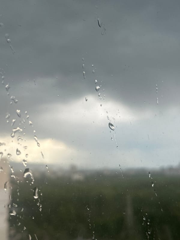 Rainy afternoon in Sofia features mineral collecting activity