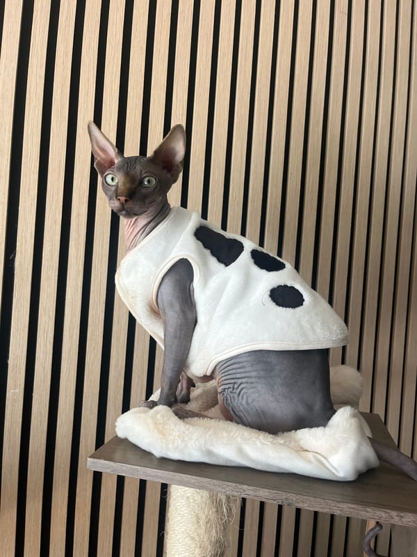 Woman captured in casual moments in Konz, Germany