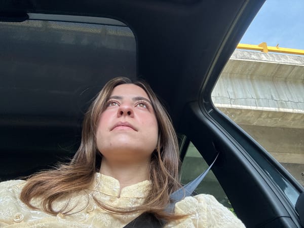 Casual car rides and cartoon drawings captured across Puebla