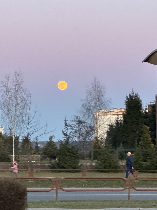 Evening pedestrian stroll observed in Hrodna, Belarus