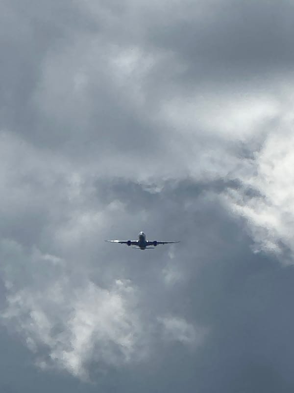 Planes in cloudy skies and fresh produce, same morning
