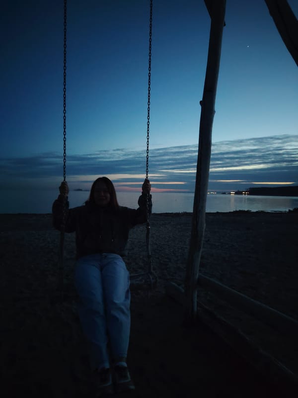 Person swings at beach during dusk hours