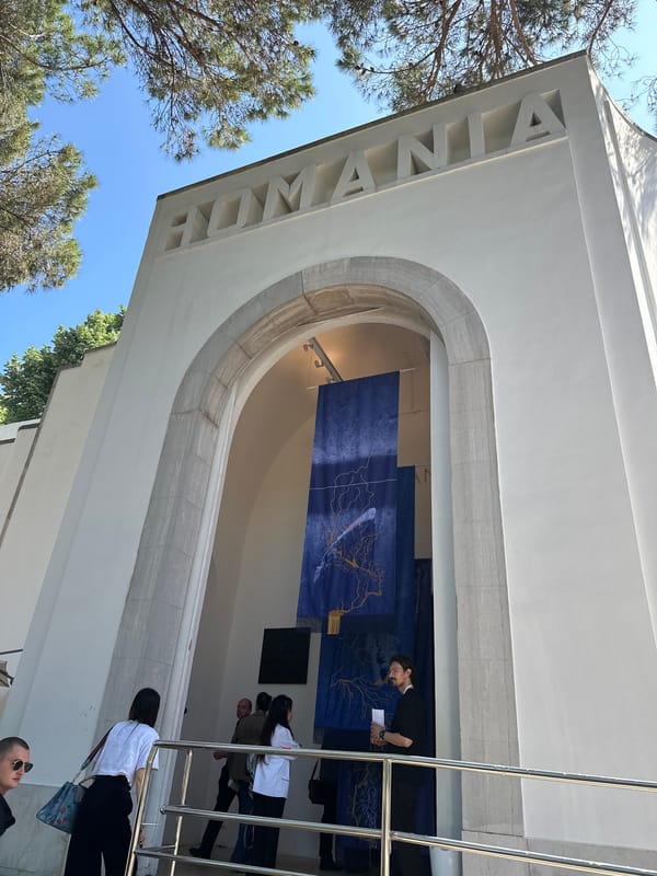 Visitor tours Venice Biennale pavilions and contemporary art installations