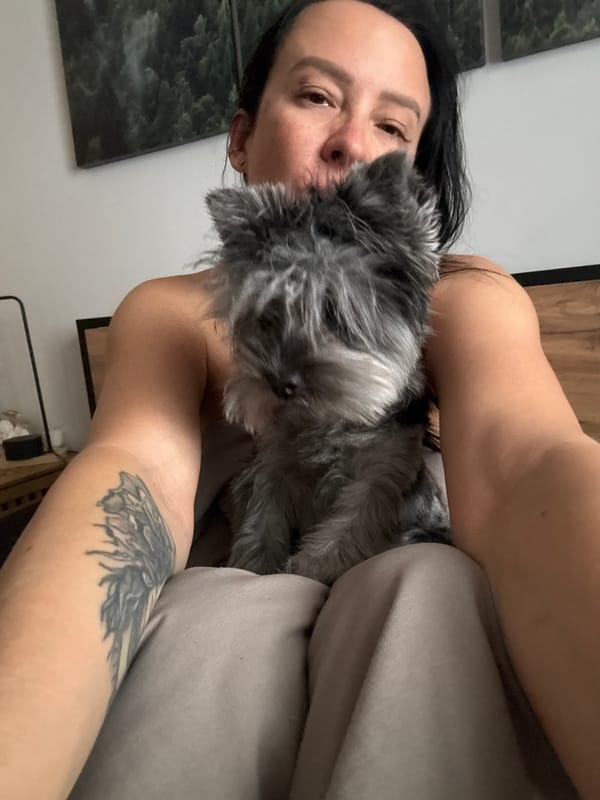 Person with tattooed arm holds gray dog indoors in Chaikovsky