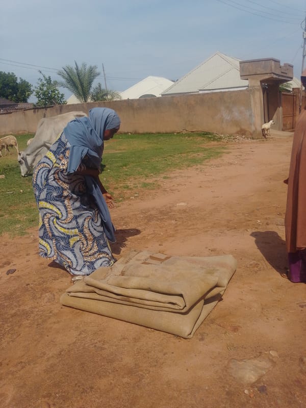 Morning foot traffic and street life across rural northeastern Nigeria