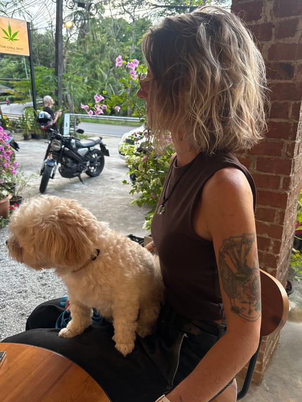 Lazy morning in Karon: a cute dog, pool, and ocean views