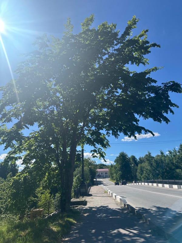 Summer afternoon in Slantsy: parks, river views, and home gardens