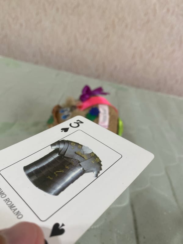 Poltava resident documents everyday items, Rome cards, household goods