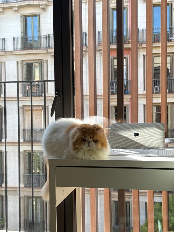 Woman conducts video call on laptop in Barcelona