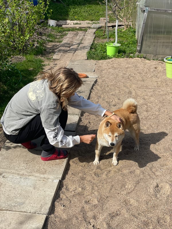 Woman plays with Shiba Inu dog in Sestroretsk garden