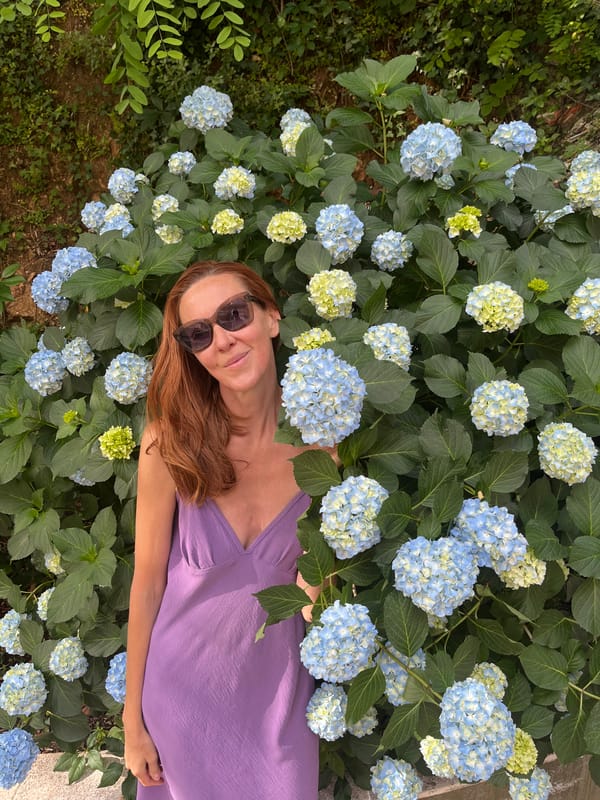 Morning scenes captured around Budva, Montenegro's hydrangeas and landmarks