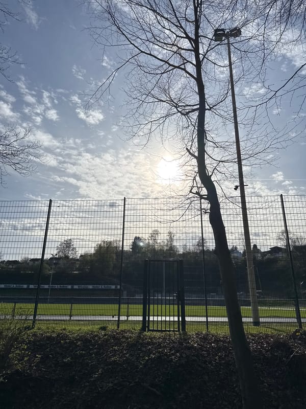 Springtime fence line scene captured in Wuppertal