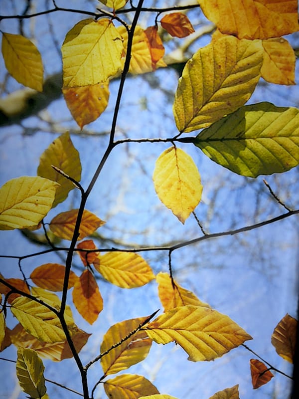 Spring moments captured across Tyumen in single minute