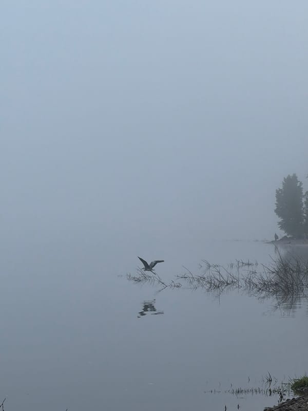 Early morning fishing session documented in misty Noviy, Russia