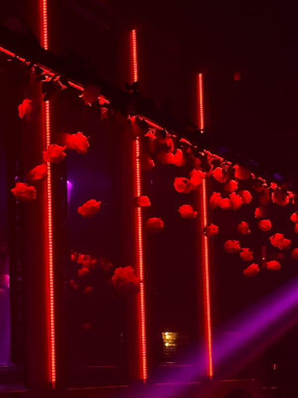 Rose blossoms photographed against LED strips in Moscow