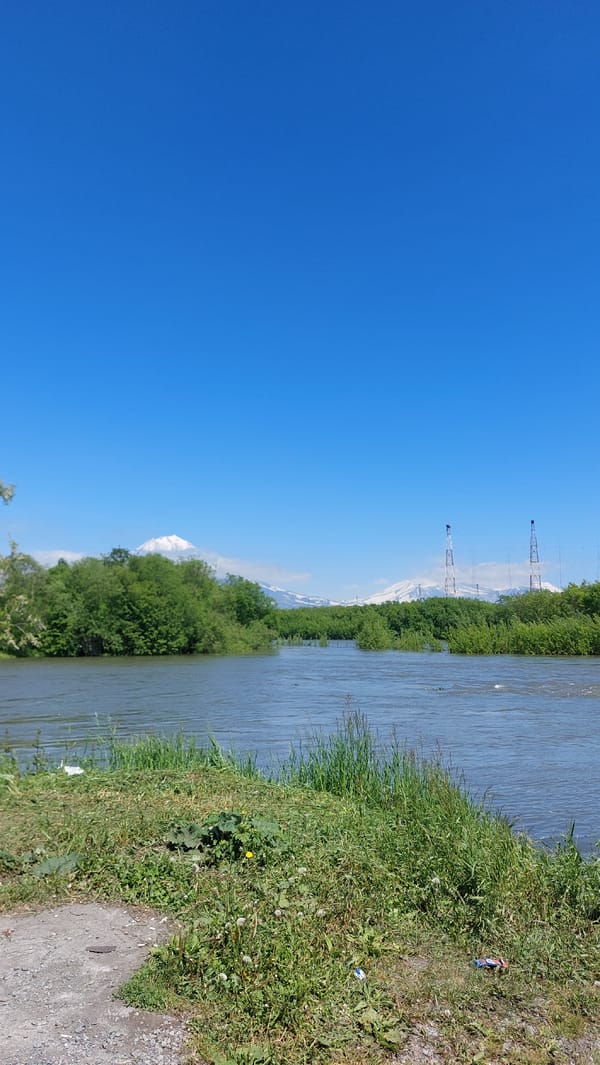 Farm animals, chinchillas, and mountain river scenery