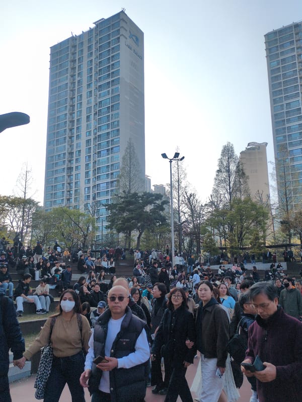 Seoul cherry blossom crowds gather at Seokchon Lake Park