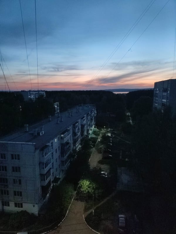 Urban apartment buildings and tabby cat documented simultaneously