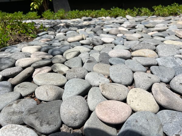 Morning documentation captures North Kuta garden scenes and cafe interior