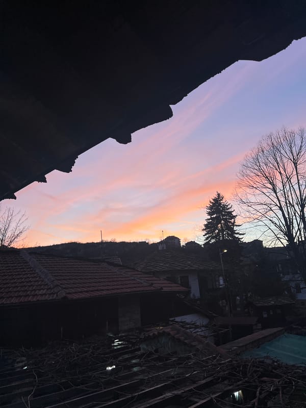 Evening silhouettes captured in Lovech, Bulgaria