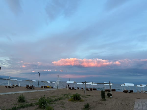 Flowers, sunsets, and neighborhood scenes from one afternoon