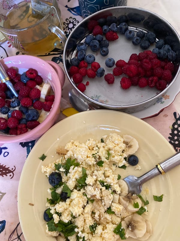 Quiet Tbilisi morning: breakfast, cats, and open sky