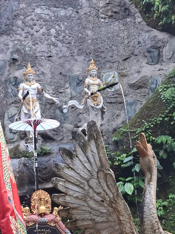 Witness documents tropical forest walk in Susut, Indonesia